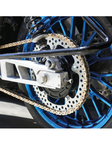 CONVERSIONE A CATENA CON PARASTRAPPI ARLEN NESS JAGGED