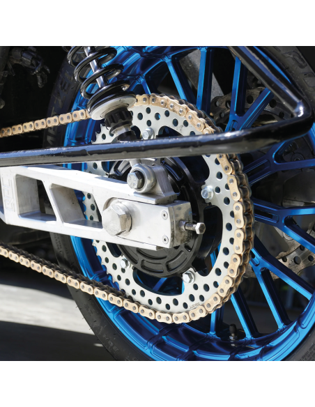 CONVERSIONE A CATENA CON PARASTRAPPI ARLEN NESS JAGGED