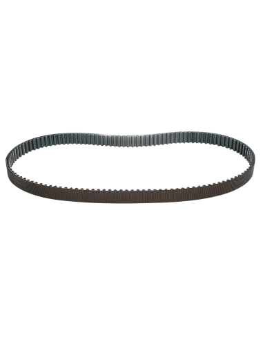 CINGHIE DI TRASMISSIONE FINALI