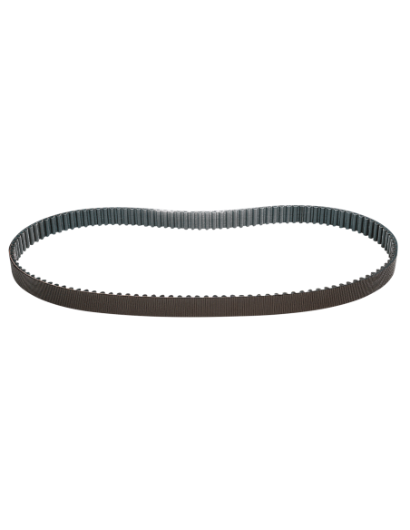 CINGHIE DI TRASMISSIONE FINALI