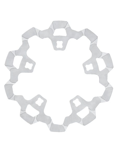 DISCHI FRENO LYNDALL ENFORCER PER TOURING & TRIKE