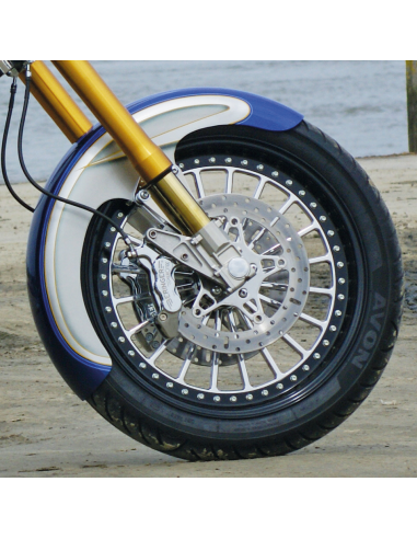 DISCHI FRENO CUSTOM EBC IN ACCIAIO INOX