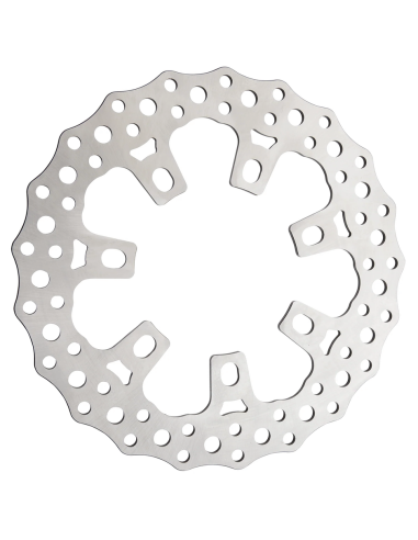 DISCHI FRENO ARLEN NESS