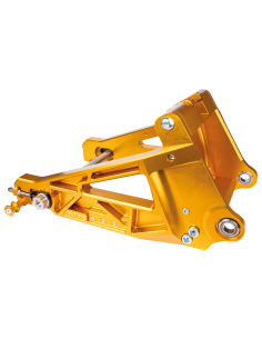 FORCELLONE VITY'S IN BILLET PER SOFTAIL