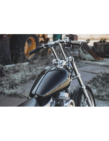 SERBATOIO SEPARATO STILE WX PER VECCHI BIG TWIN DA LOWBROW CUSTOMS