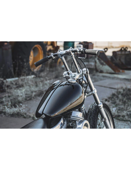 SERBATOIO SEPARATO STILE WX PER VECCHI BIG TWIN DA LOWBROW CUSTOMS