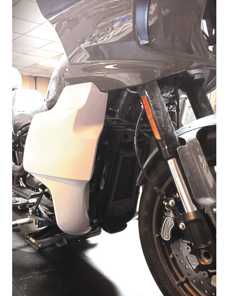 KIT CARENATURE INFERIORI DOMINATOR PER LOW RIDER ST