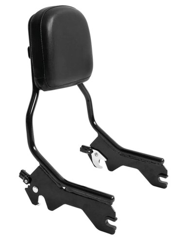 KIT SISSY BAR A SGANCIO RAPIDO IN UN...