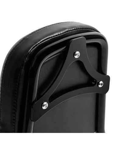 KIT SISSY BAR A SGANCIO RAPIDO IN UN...