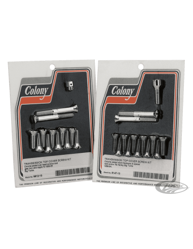 PARTI CAMBIO A MANO BIG TWIN