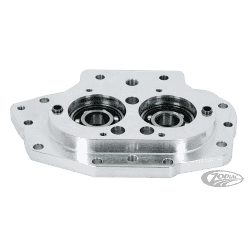 PARTI CAMBIO 5 MARCE PER BIG TWIN 1994-2006 2