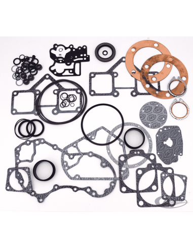 KIT GUARNIZIONI PER MOTORI S&S