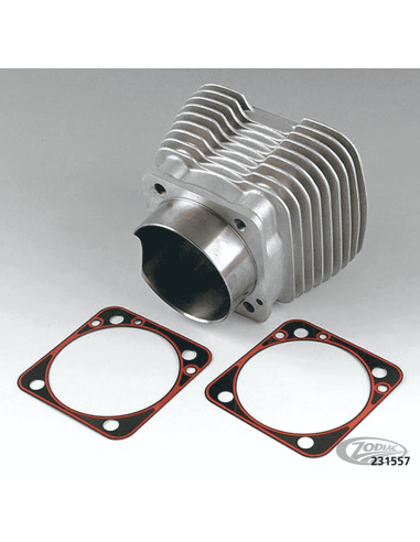 GUARNIZIONI JAMES PER TESTA E CILINDRO PER MOTORI S&S E TPE
