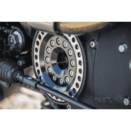 COPERCHIO PIGNONE, INSERTI E PULEGGE DISASSATE RICK'S PER SPORTSTER