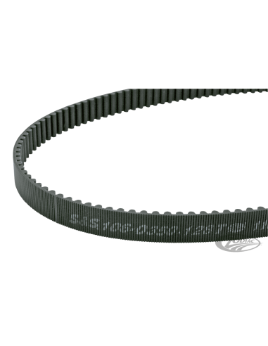 CINGHIE DI TRASMISSIONE FINALI