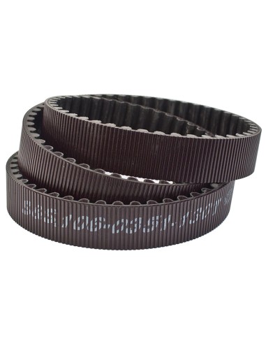 CINGHIE DI TRASMISSIONE FINALI