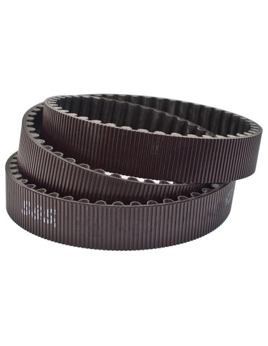 CINGHIE DI TRASMISSIONE FINALI