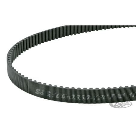 CINGHIE DI TRASMISSIONE FINALI