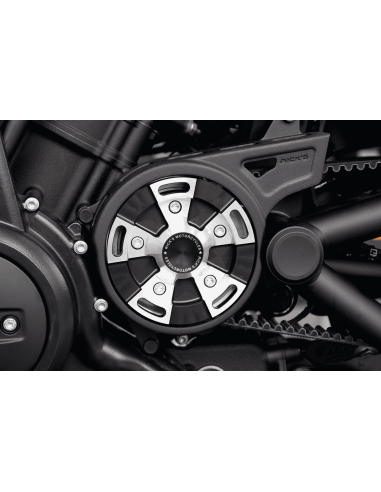 KIT COPERTURA PULEGGIA ANTERIORE RICKS PER SPORTSTER S