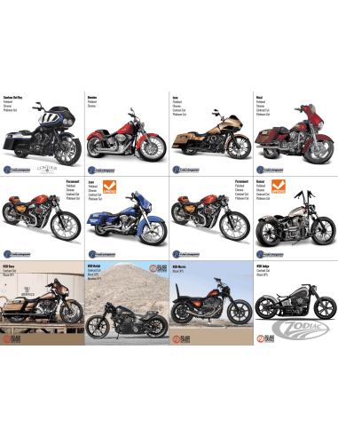 CERCHI PERFORMANCE MACHINE & ROLAND SANDS DESIGN