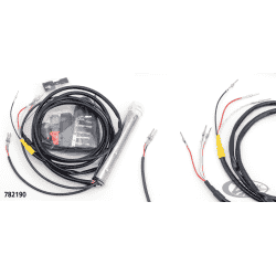 GRUPPO ACCELERATORE ELETTRONICO