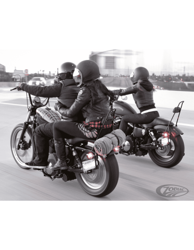 SISSY BAR BURLY BRAND PER SPORTSTER E DYNA