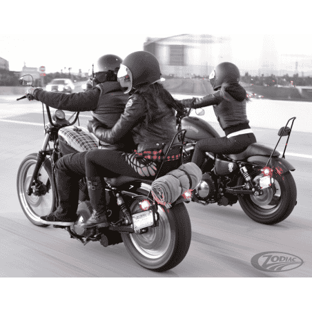 SISSY BAR BURLY BRAND PER SPORTSTER E DYNA