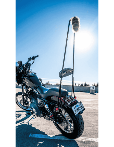 SISSY BAR STUPID TALL BURLY BRAND