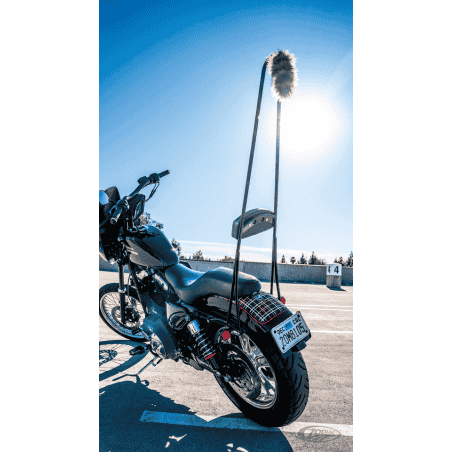 SISSY BAR STUPID TALL BURLY BRAND