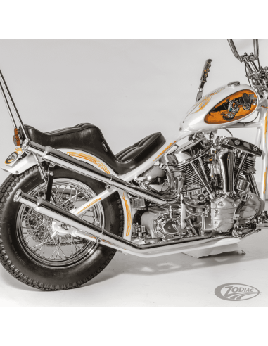 SISSY BAR V-TWIN PER TELAI RIGIDI