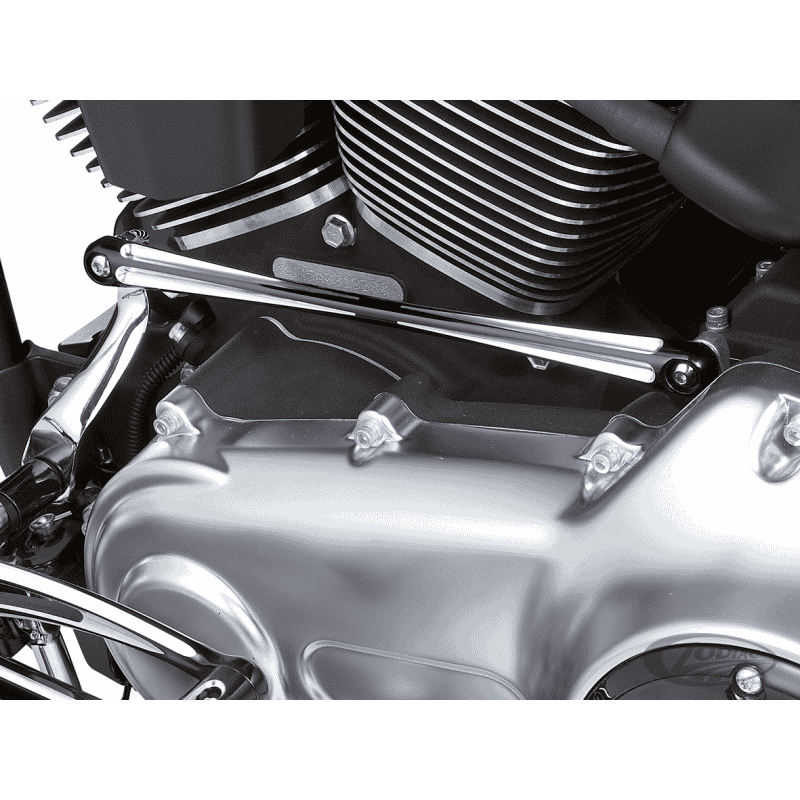 ASTA CAMBIO ARLEN NESS