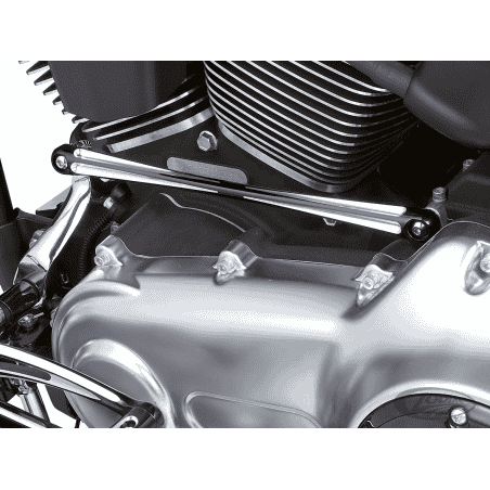 ASTA CAMBIO ARLEN NESS