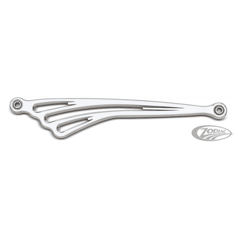 ASTA CAMBIO ARLEN NESS