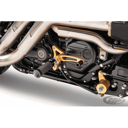 COMANDI CENTRALI PER TOURING & SOFTAIL