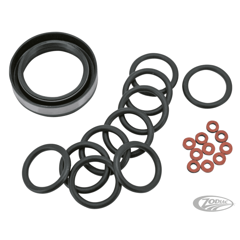 KIT SINGOLI PARAOLI E O-RING FORCELLA