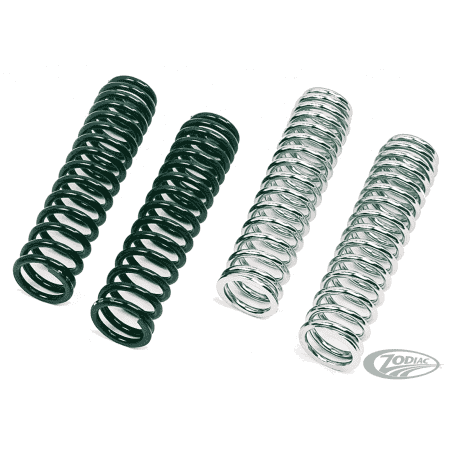 MOLLE AMMORTIZZATORI PROGRESSIVE SUSPENSION