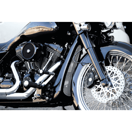 PUNTALI TOMMY & SONS