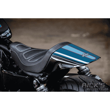 KIT PARAFANGO POSTERIORE RICK'S RACELINE DIRT TRACK PER SPORTSTER