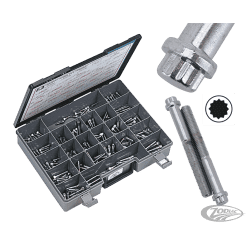 ASSORTIMENTO BULLONI A TESTA POLIGONALE CROMATI 2