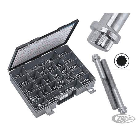 ASSORTIMENTO BULLONI A TESTA POLIGONALE CROMATI