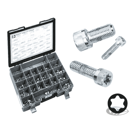 ASSORTIMENTO VITI TORX CROMATE