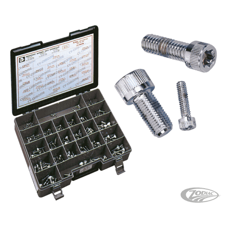 ASSORTIMENTO VITI TORX CROMATE