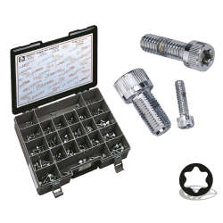 ASSORTIMENTO VITI TORX CROMATE 2