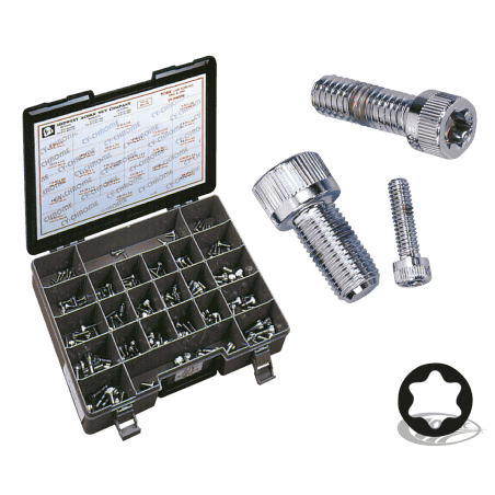 ASSORTIMENTO VITI TORX CROMATE