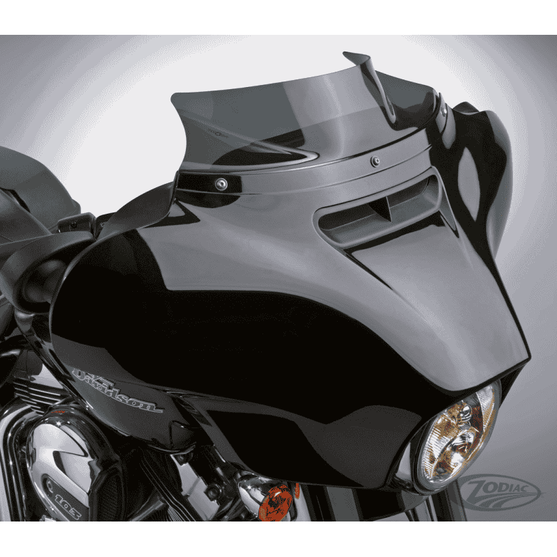 NATIONAL CYCLE SCHERMI DI RICAMBIO PER TOURING