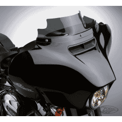 NATIONAL CYCLE SCHERMI DI RICAMBIO PER TOURING 2