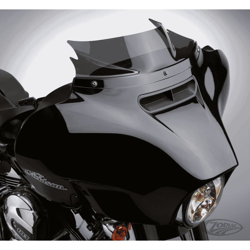 NATIONAL CYCLE SCHERMI DI RICAMBIO PER TOURING