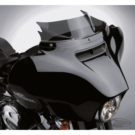 NATIONAL CYCLE SCHERMI DI RICAMBIO PER TOURING