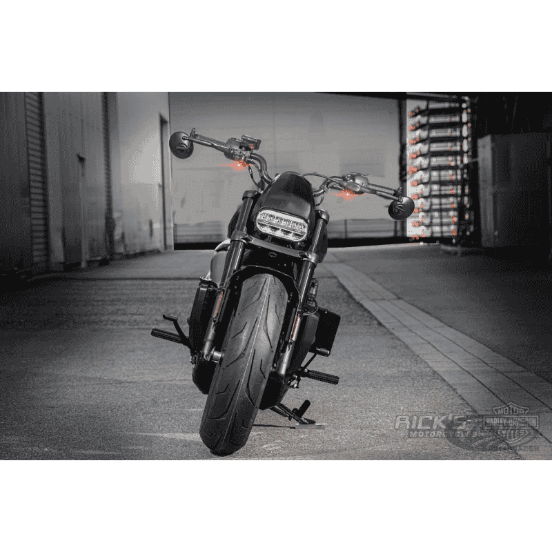 MINI CUPOLINO RICK'S PER SPORTSTER S