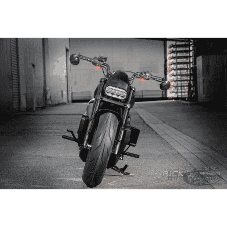 MINI CUPOLINO RICK'S PER SPORTSTER S